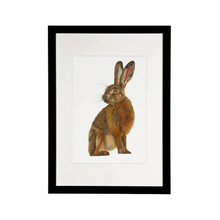 Load image into Gallery viewer, 'Harold the Hare' - Print