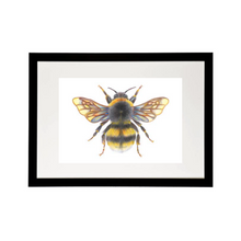 Load image into Gallery viewer, 'Bonnie the Bumblebee' - A4 Print Landscape