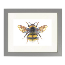 Load image into Gallery viewer, 'Bonnie the Bumblebee' - A4 Print Landscape