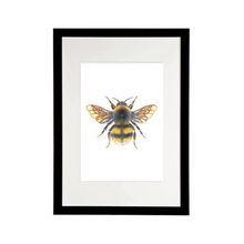 Load image into Gallery viewer, 'Bonnie the Bumblebee' - A4 Print Portrait