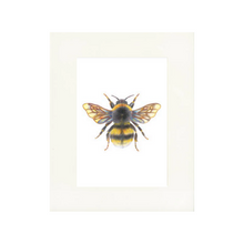Load image into Gallery viewer, 'Bonnie the Bumblebee' - A4 Print Portrait