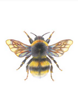 Load image into Gallery viewer, 'Bonnie the Bumblebee' - A4 Print Portrait