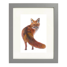 Load image into Gallery viewer, 'Freddie the Fox' - Print