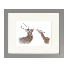 Load image into Gallery viewer, 'The Hinds' Print