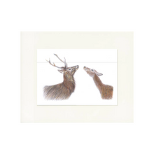 Load image into Gallery viewer, 'The Hinds' Print