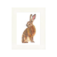 Load image into Gallery viewer, 'Harold the Hare' - Print