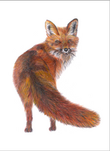 Load image into Gallery viewer, 'Freddie the Fox' - Print