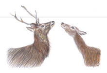 Load image into Gallery viewer, 'The Hinds' Print