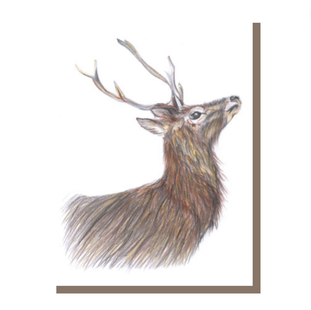 'Stag' - Greeting Card