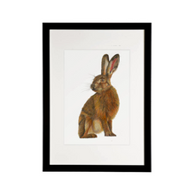 Load image into Gallery viewer, &#39;Harold the Hare&#39; - Print
