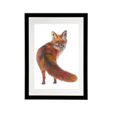 Load image into Gallery viewer, &#39;Freddie the Fox&#39; - Print
