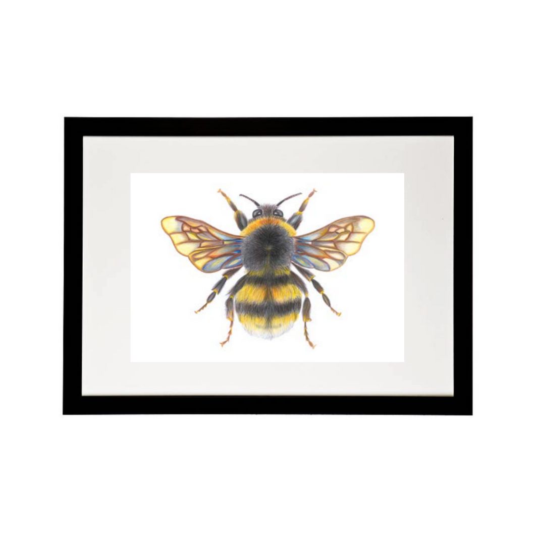 'Bonnie the Bumblebee' - A4 Print Landscape