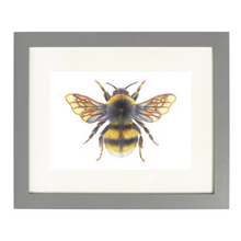 Load image into Gallery viewer, &#39;Bonnie the Bumblebee&#39; - A4 Print Landscape
