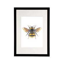 Load image into Gallery viewer, &#39;Bonnie the Bumblebee&#39; - A4 Print Portrait
