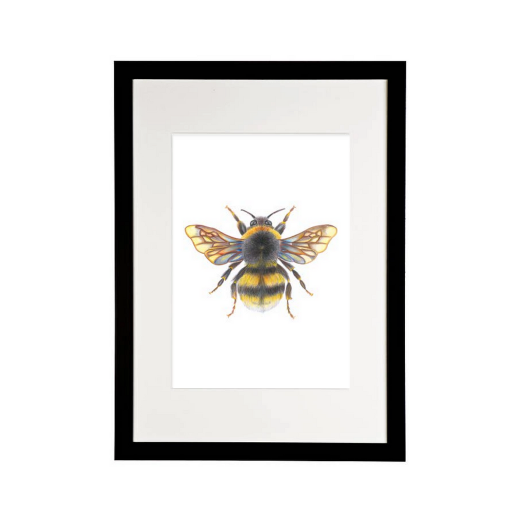 'Bonnie the Bumblebee' - A4 Print Portrait