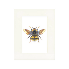 Load image into Gallery viewer, &#39;Bonnie the Bumblebee&#39; - A4 Print Portrait
