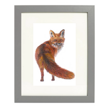 Load image into Gallery viewer, &#39;Freddie the Fox&#39; - Print
