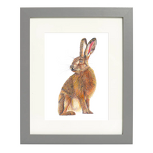 Load image into Gallery viewer, &#39;Harold the Hare&#39; - Print
