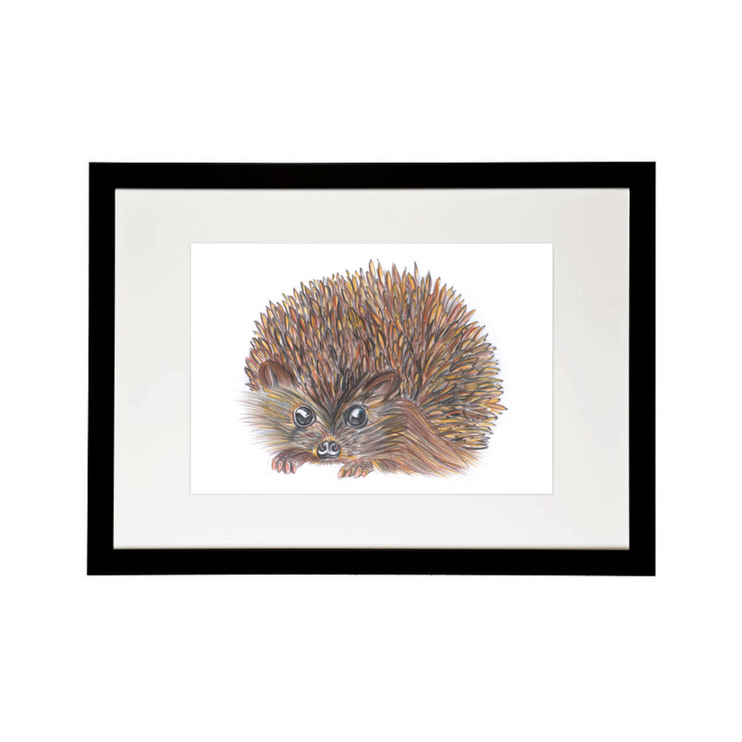 'Hetty the Hedgehog' - Print