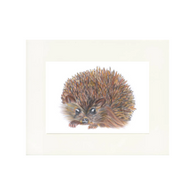 Load image into Gallery viewer, &#39;Hetty the Hedgehog&#39; - Print
