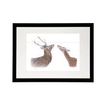 Load image into Gallery viewer, &#39;The Hinds&#39; Print
