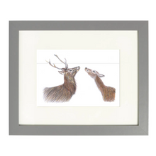 Load image into Gallery viewer, &#39;The Hinds&#39; Print
