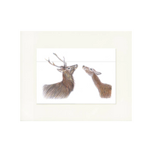 Load image into Gallery viewer, &#39;The Hinds&#39; Print
