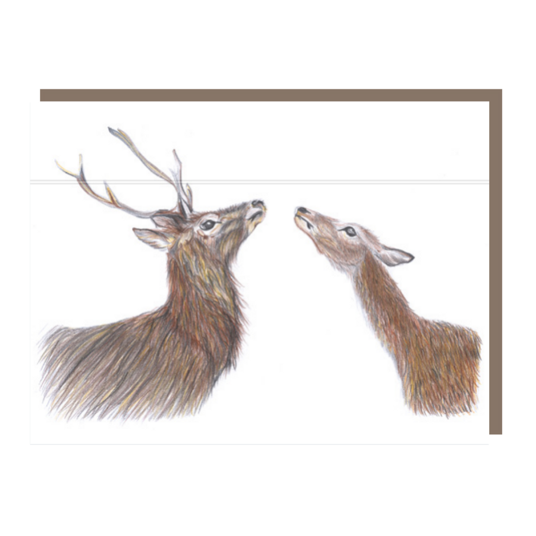 'The Hinds' - Greeting Card