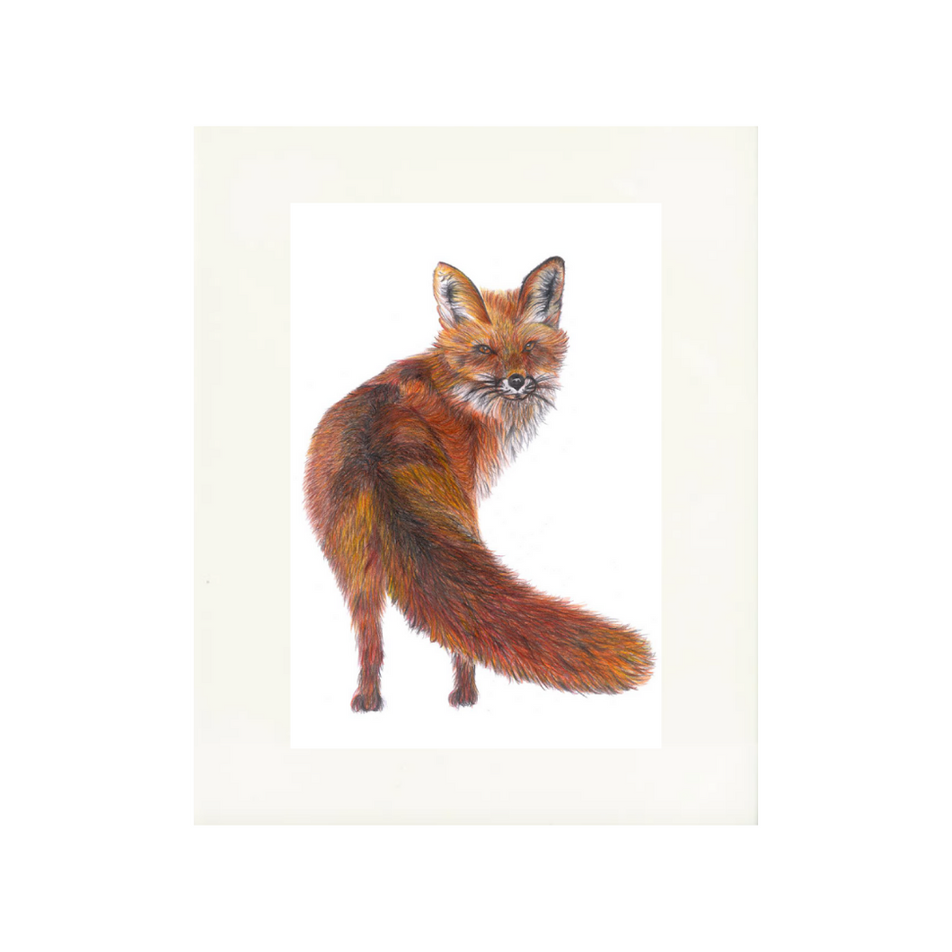 'Freddie the Fox' - Print