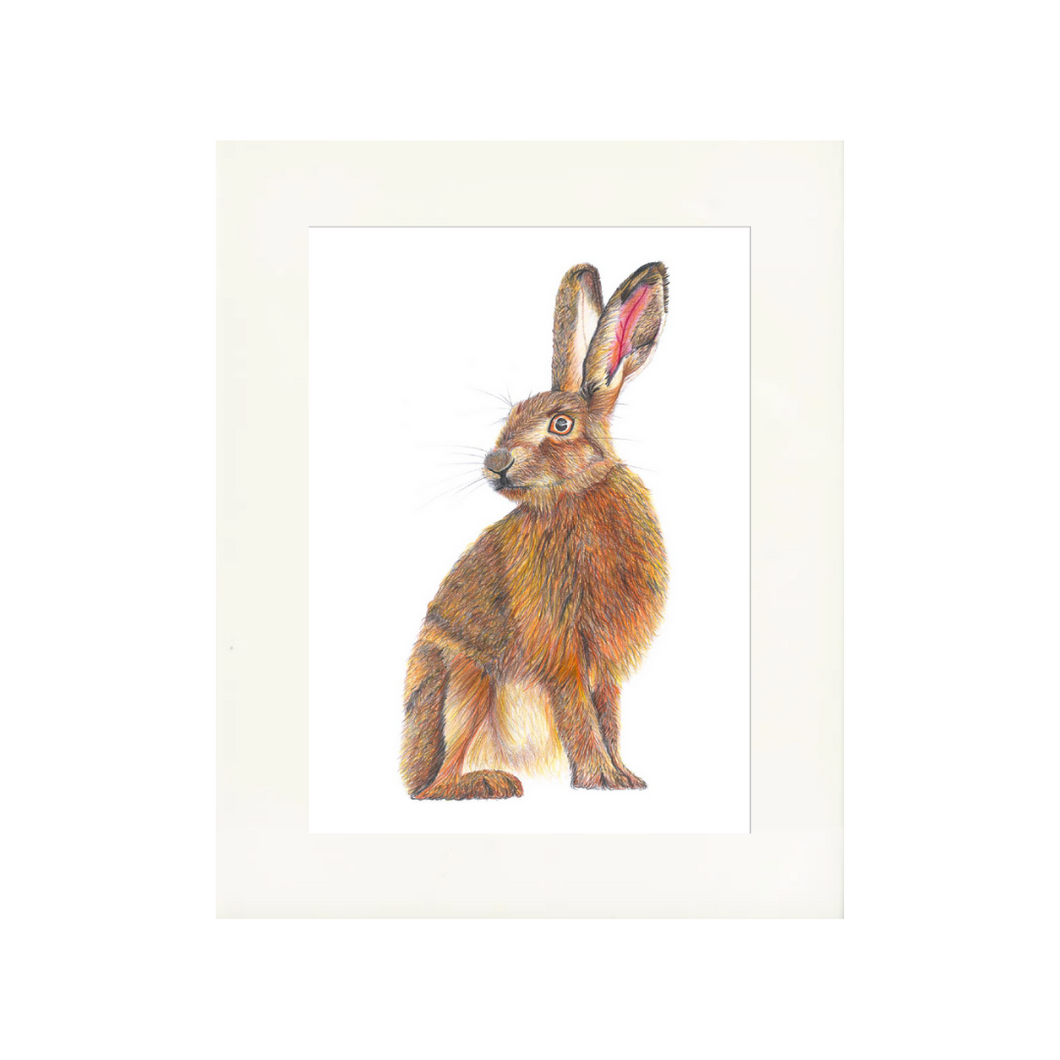 'Harold the Hare' - Print