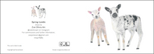 Load image into Gallery viewer, &#39;Spring Lambs&#39; - Greeting Card
