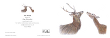 Load image into Gallery viewer, &#39;The Hinds&#39; - Greeting Card
